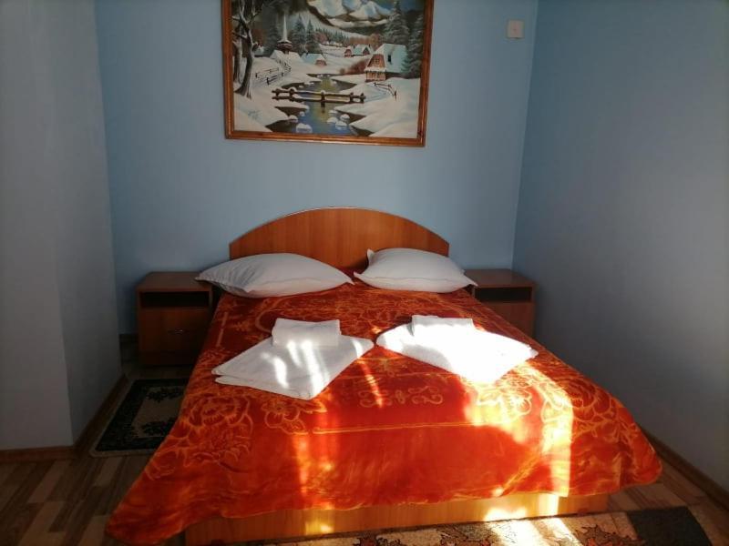 Hotel Casa Marinca Ocna Şugatag Zewnętrze zdjęcie