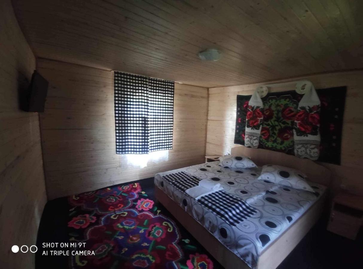 Hotel Casa Marinca Ocna Şugatag Zewnętrze zdjęcie